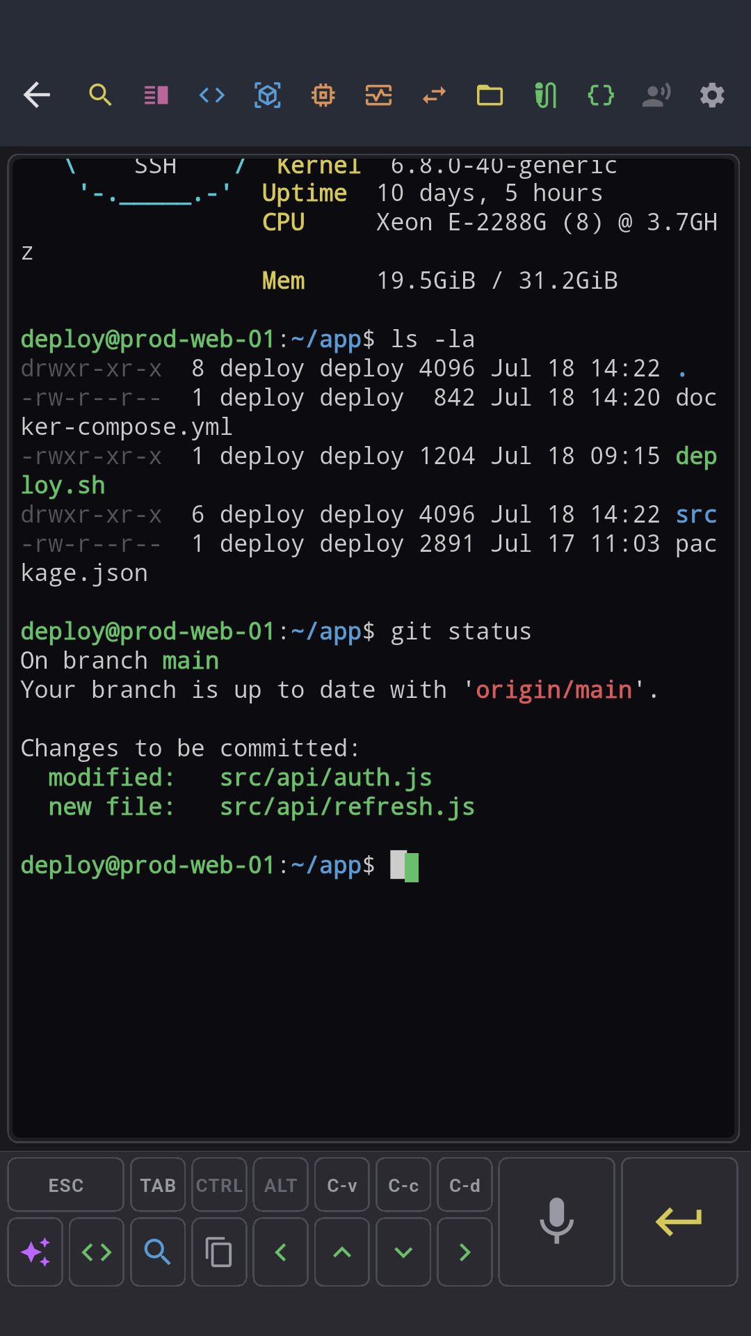 Terminal SSH