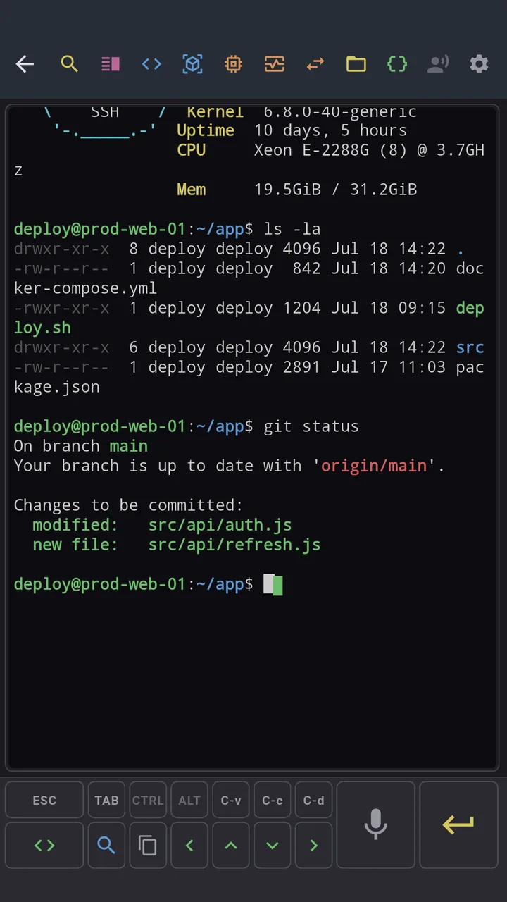 SSH terminal