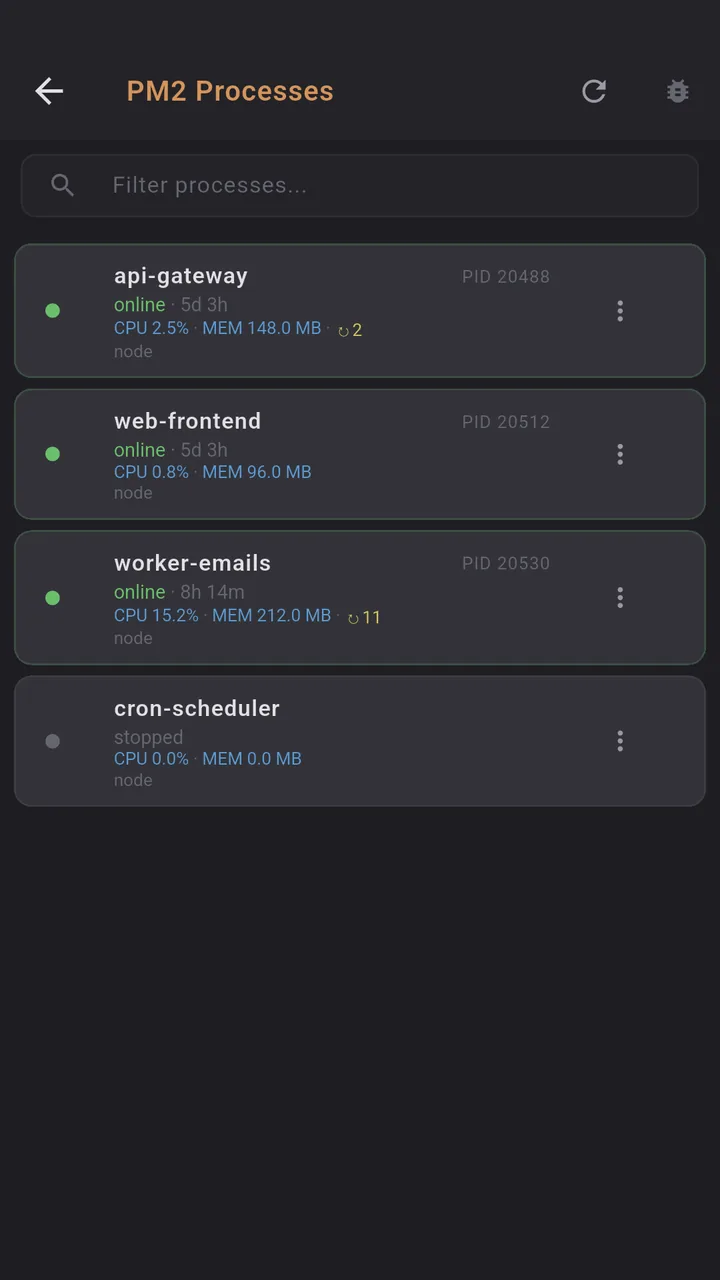 PM2 processes
